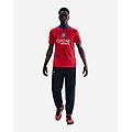 paris saint germain 3rd 25-26 m maglia calcio ufficiale uomo color mix