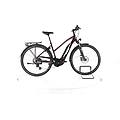 ebike ricondizionata · (e)trekking 10. 8 · buone condizioni