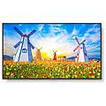 multisync m651 65" display