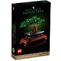 albero bonsai 10281