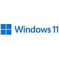 ms sb windows 11 pro per workstation uk dvd prestazioni ottimali per i professionisti. sicurezza e