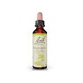 pharma italia srl wild rose fiori di bach original rimedio fitoterapico 20 ml