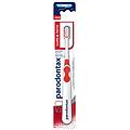 gum&teeth spazzolino denti igiene dentale soft 1 pezzo