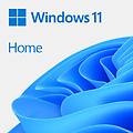 sistema operativo windows 11 home haj-00110 usb 64-bit francese fpp