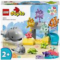 duplo animali dell'oceano