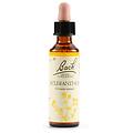Schwabe Pharma Sclerantus Bach Orig