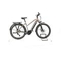 ebike ricondizionata · sinus ix10 · buone condizioni