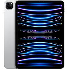 Apple Ipad Pro 11" 4^gen 512 Gb Argento Wi-fi Grade B