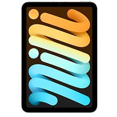 Apple - Ipad Mini 5g Td-lte & Fdd-lte 256 Gb 21 1