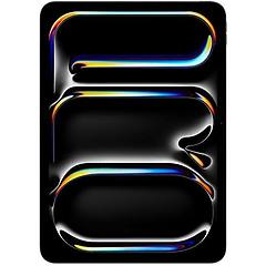 Apple Ipad Pro 11" (512 Gb) (schwarz 5g / Gen 5