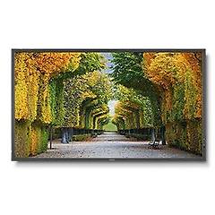 Nec Multisync X554hb