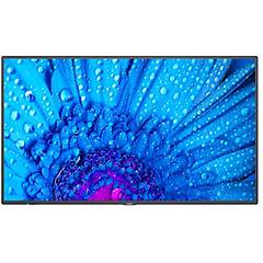 Nec Mon 43''ips Uhd Vga 3hdmi 4k Mm M431