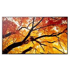 Sharp M862 (60006058)