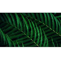 Philips Monitor 27b2g5200-00 27'' Full Hd Lcd Antracite