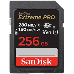 sandisk pro 256gb v60 uhs ii sd cards