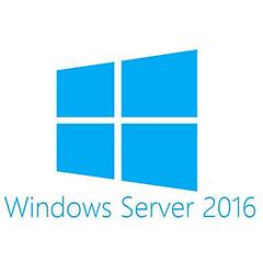 Hp Microsoft Windows Server 2016 Cal 10dev En-fr-it-de-es-ja