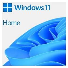 Microsoft Windows 11 Home Licenza 1 Licenza Oem Dvd 64-bit