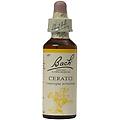 bach cerato 20 ml