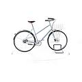 ebike ricondizionata · airisto · buone condizioni