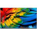43hfl6214u 109 2 cm (43) 4k ultra hd smart tv wi-fi antracite 400 cd/m² display arrotolabile