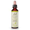 Schwabe 07 Chestnut Bud Gocce 20 Ml