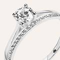anello solitario claire oro bianco cubic zirconia collezione claire misura 50 oro bianco