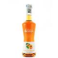 apricot brandy albicocca