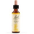 gorse bach orig 20 ml