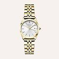 orologio al quarzo the ace xs asgsg-a15 1687972