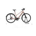 ebike ricondizionata · riese & müller ubn seven silent · come nuovo riese