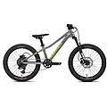 bicicletta eccentric 20