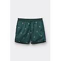 costume boxer mare ricamo palme uomo verde taglia l