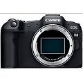 fotocamera mirrorless eos r8 body