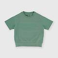 t-shirt in jersey pesante da bambino verde taglia 12m