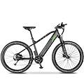 - mountain e-bike performance verde 2020-verde