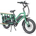 transer cargo bike elettrica 48v13ah a doppia batteria