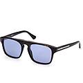 eyewear occhiali da sole we0325/s 56v