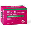 ribes pet recovery supporto barriera cutanea confezione da 60 perle integratori per cani 1&deg;