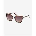 occhiali butterfly shape injected marrone con lenti a specchio marrone scuro donna