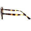 occhiali da sole rb4376 710/13