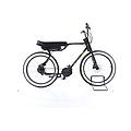 ebike ricondizionata · biggie · buone condizioni