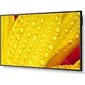 multisync me431 43" display