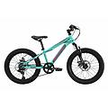 mtb 20 bici bambini 6 anni. hardtail. 21 velocità. freno a disco