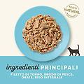 cat busta multipack 12x70g tonno con orata