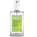 deodorante spray purificante al limone 100 ml