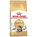 maine coon adult alimento secco per gatti 2kg