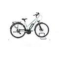 ebike ricondizionata · e-bird 300 · buone condizioni