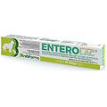srl enterolac mangime complementare per cani e gatti siringa di pasta 15g supporto digestivo per