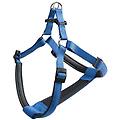 daytona p medium blu pett.