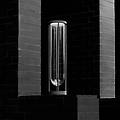 dissuasore in vitro 2 2. 700 k 60 cm nero